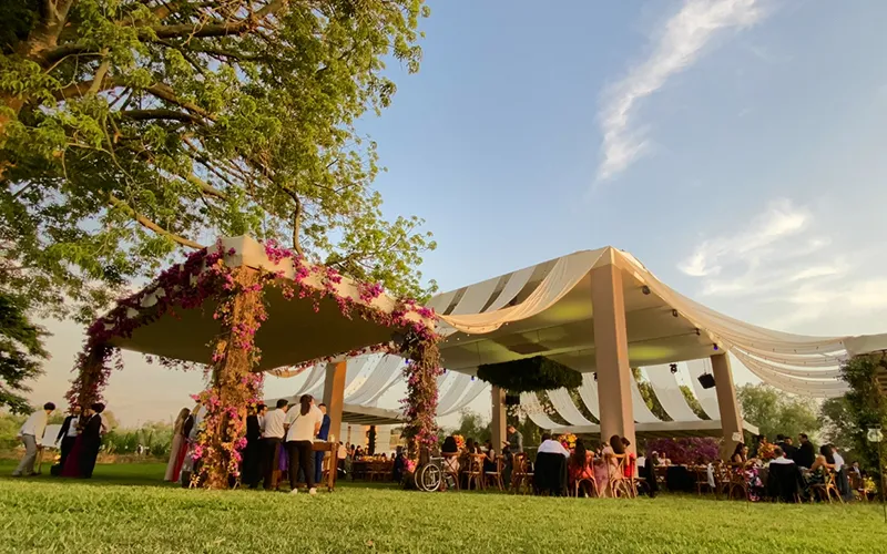 Bodas